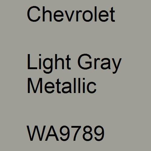 Chevrolet, Light Gray Metallic, WA9789.